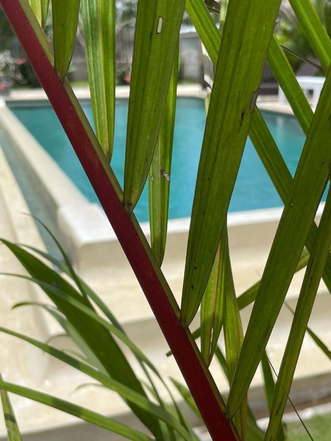 Willa Hola Lofts Uluwatu Zewnętrze zdjęcie